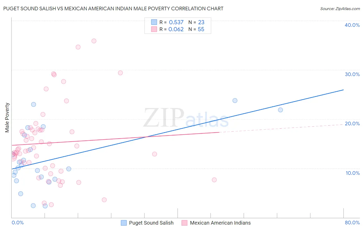 Puget Sound Salish vs Mexican American Indian Male Poverty