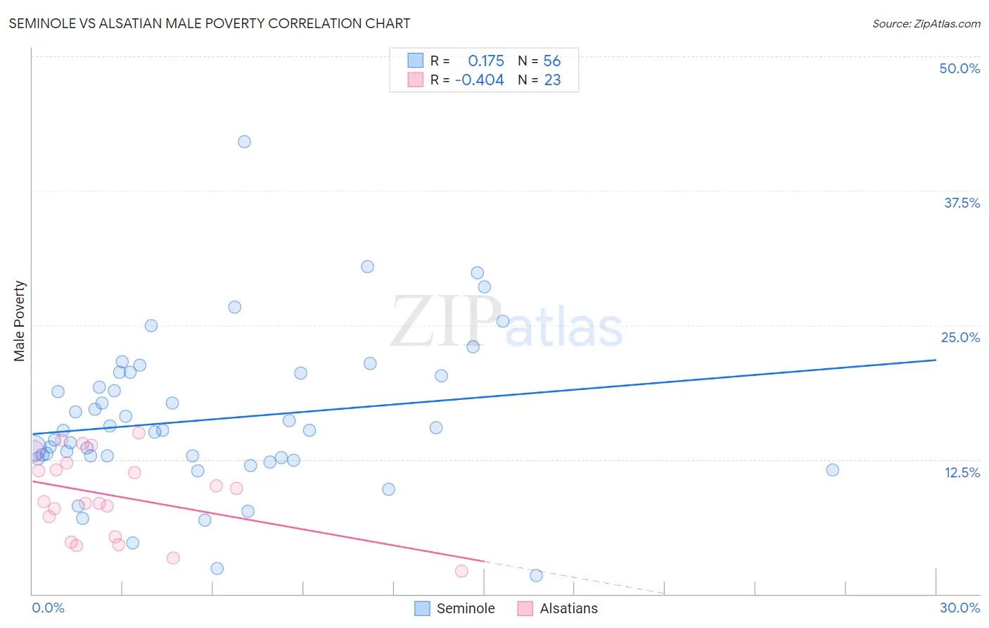 Seminole vs Alsatian Male Poverty