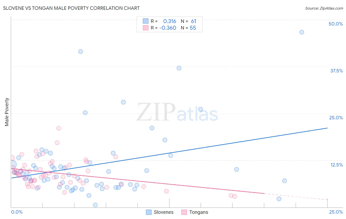 Slovene vs Tongan Male Poverty