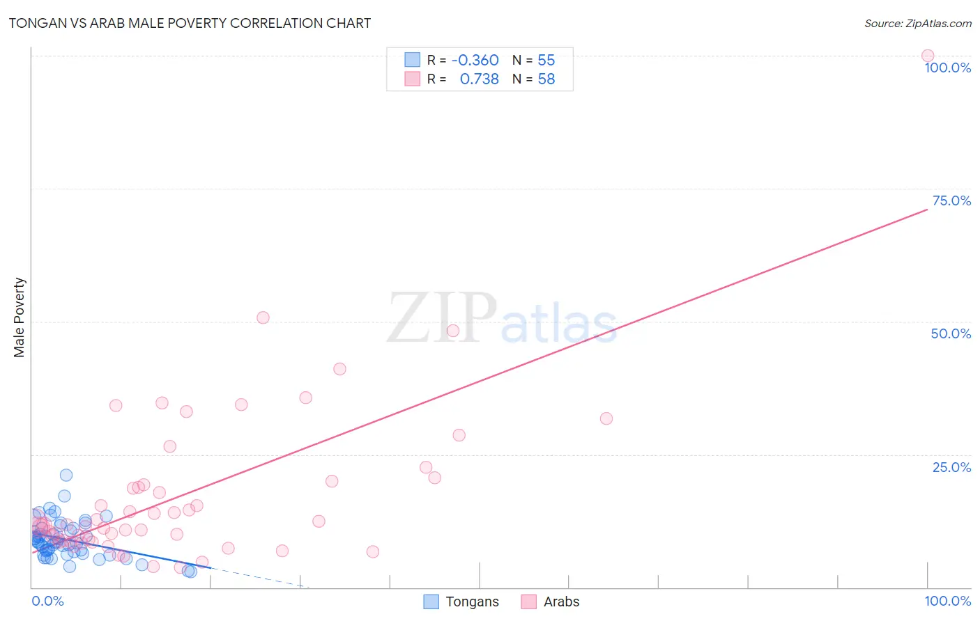 Tongan vs Arab Male Poverty