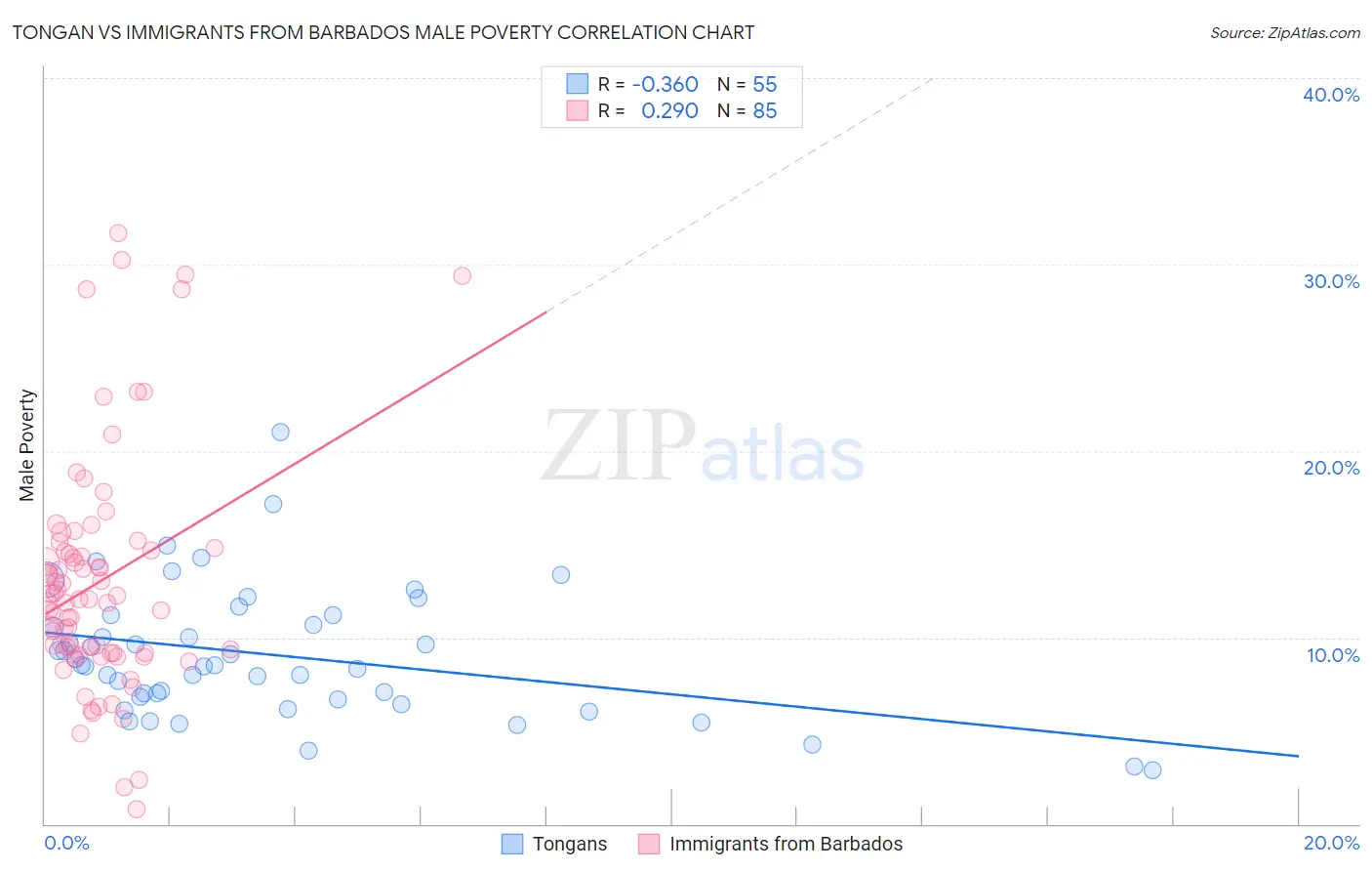Tongan vs Immigrants from Barbados Male Poverty