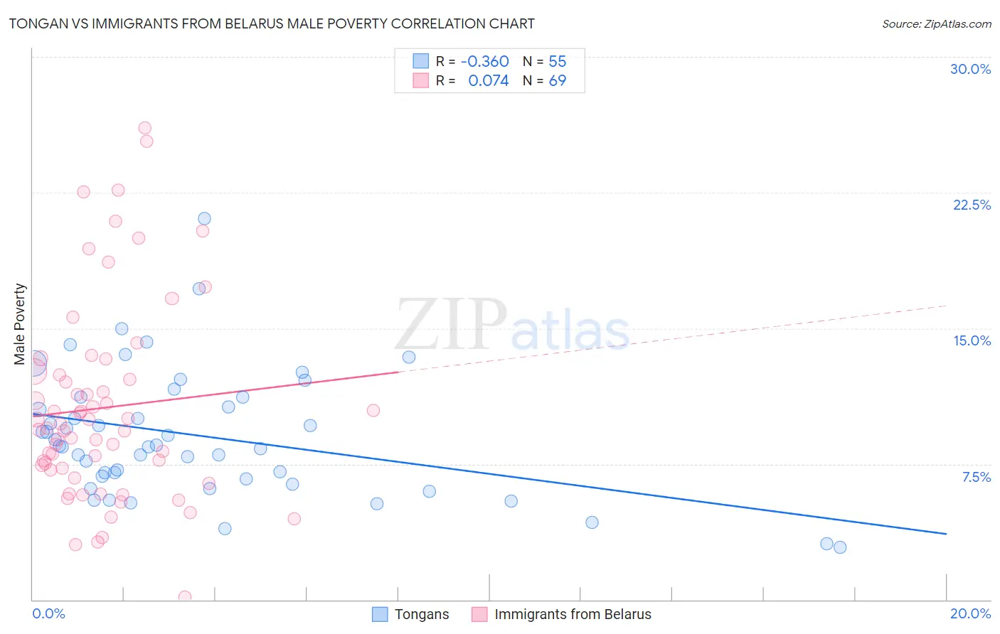 Tongan vs Immigrants from Belarus Male Poverty