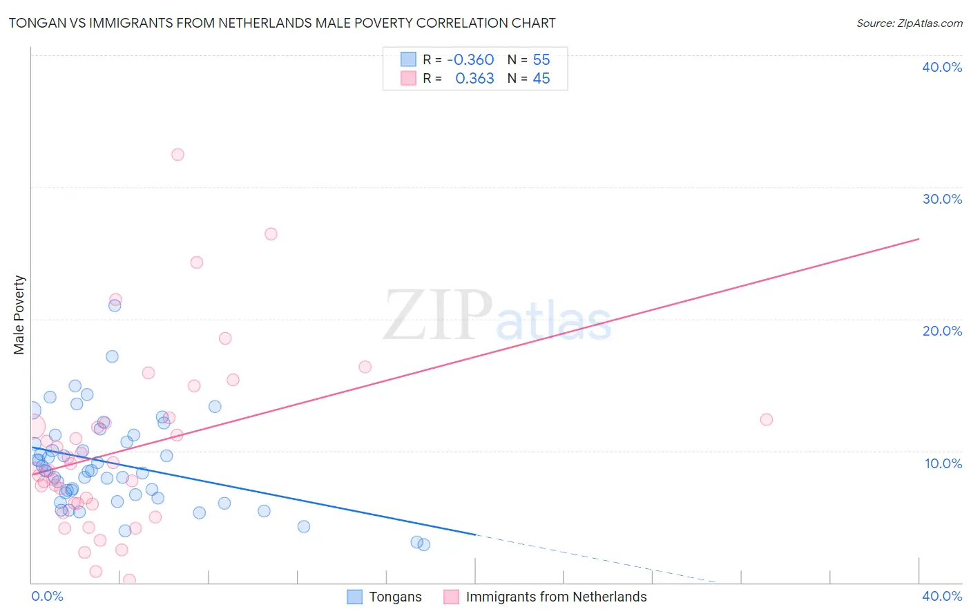 Tongan vs Immigrants from Netherlands Male Poverty