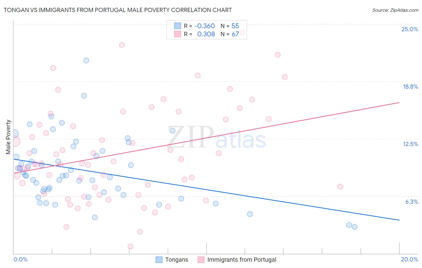 Tongan vs Immigrants from Portugal Male Poverty