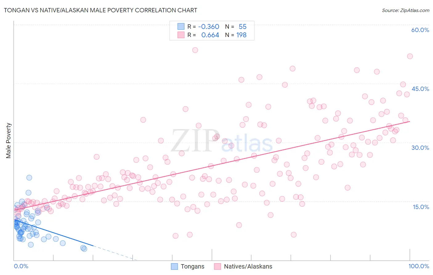 Tongan vs Native/Alaskan Male Poverty