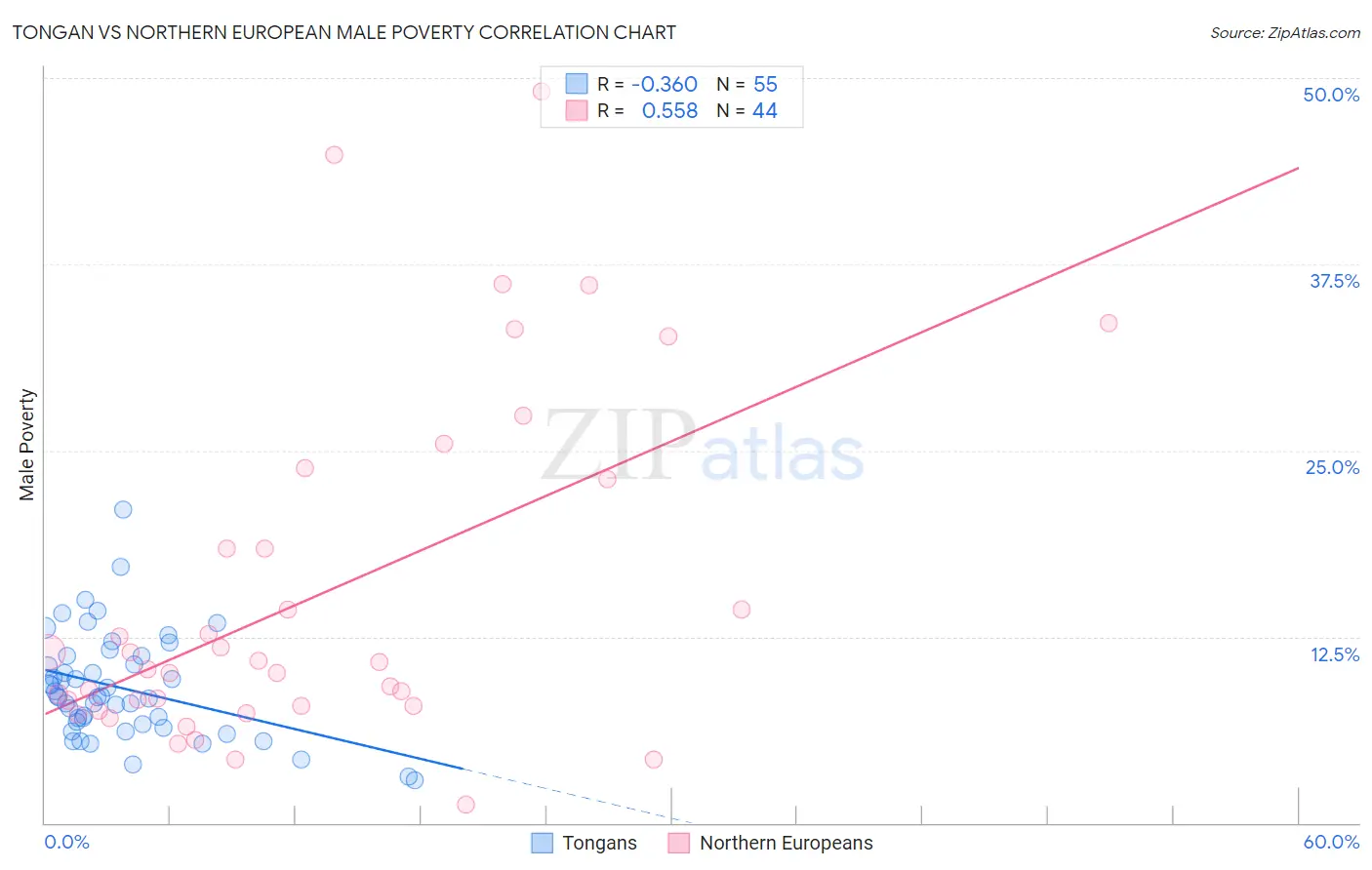 Tongan vs Northern European Male Poverty