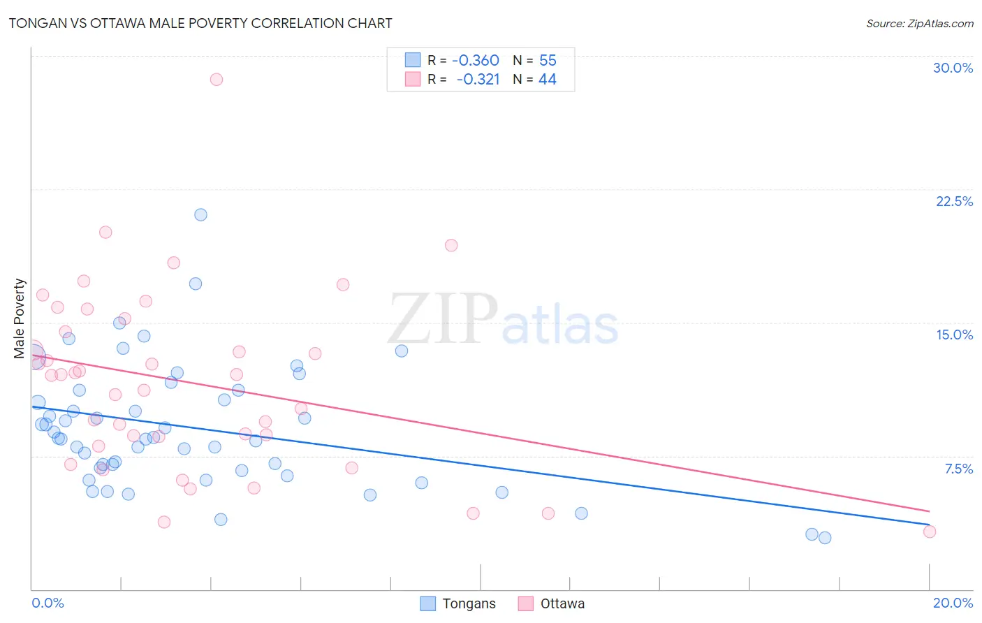 Tongan vs Ottawa Male Poverty