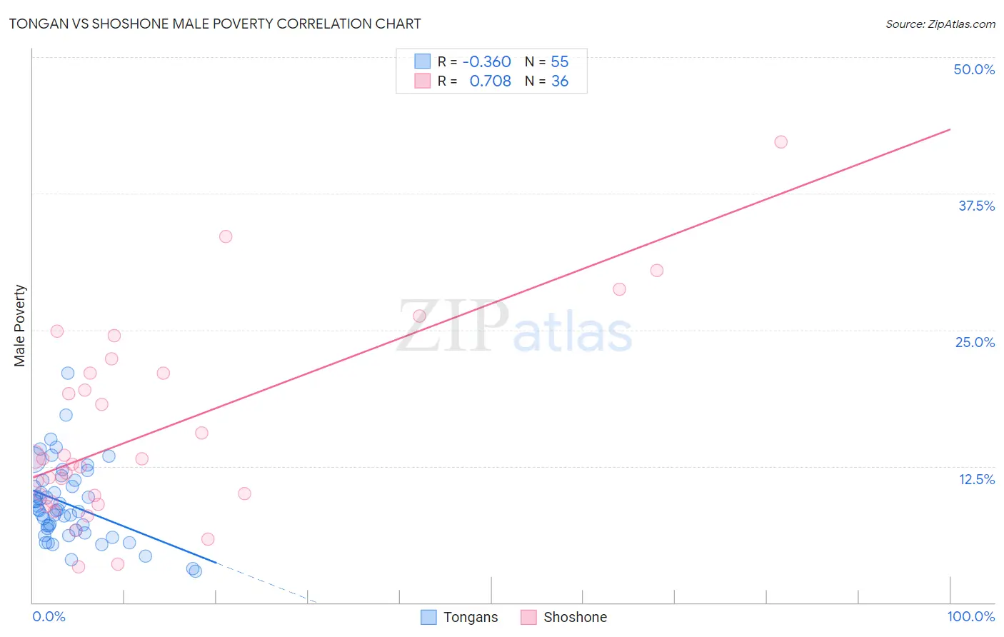 Tongan vs Shoshone Male Poverty