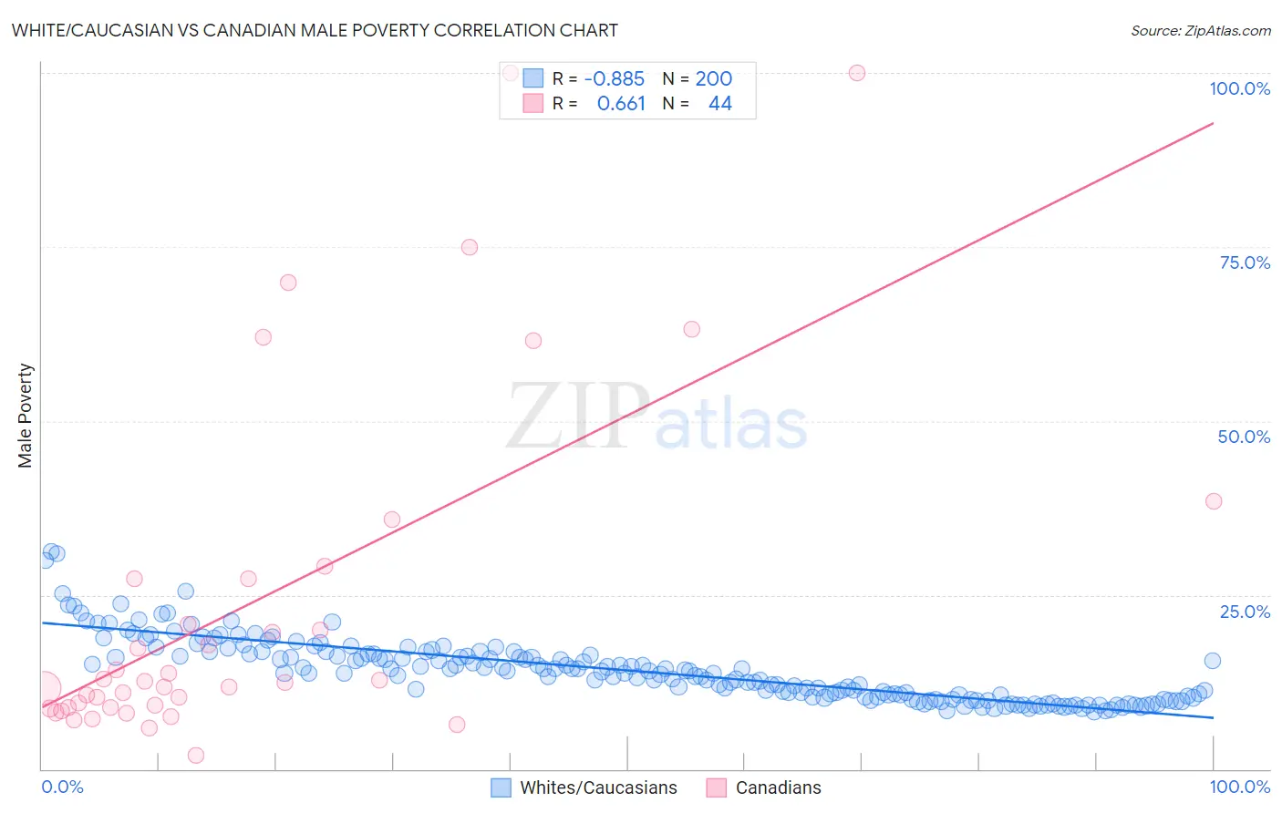 White/Caucasian vs Canadian Male Poverty