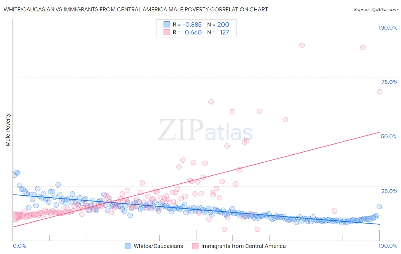 White/Caucasian vs Immigrants from Central America Male Poverty