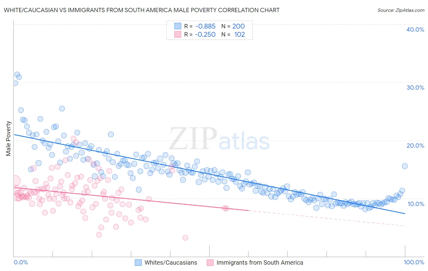 White/Caucasian vs Immigrants from South America Male Poverty