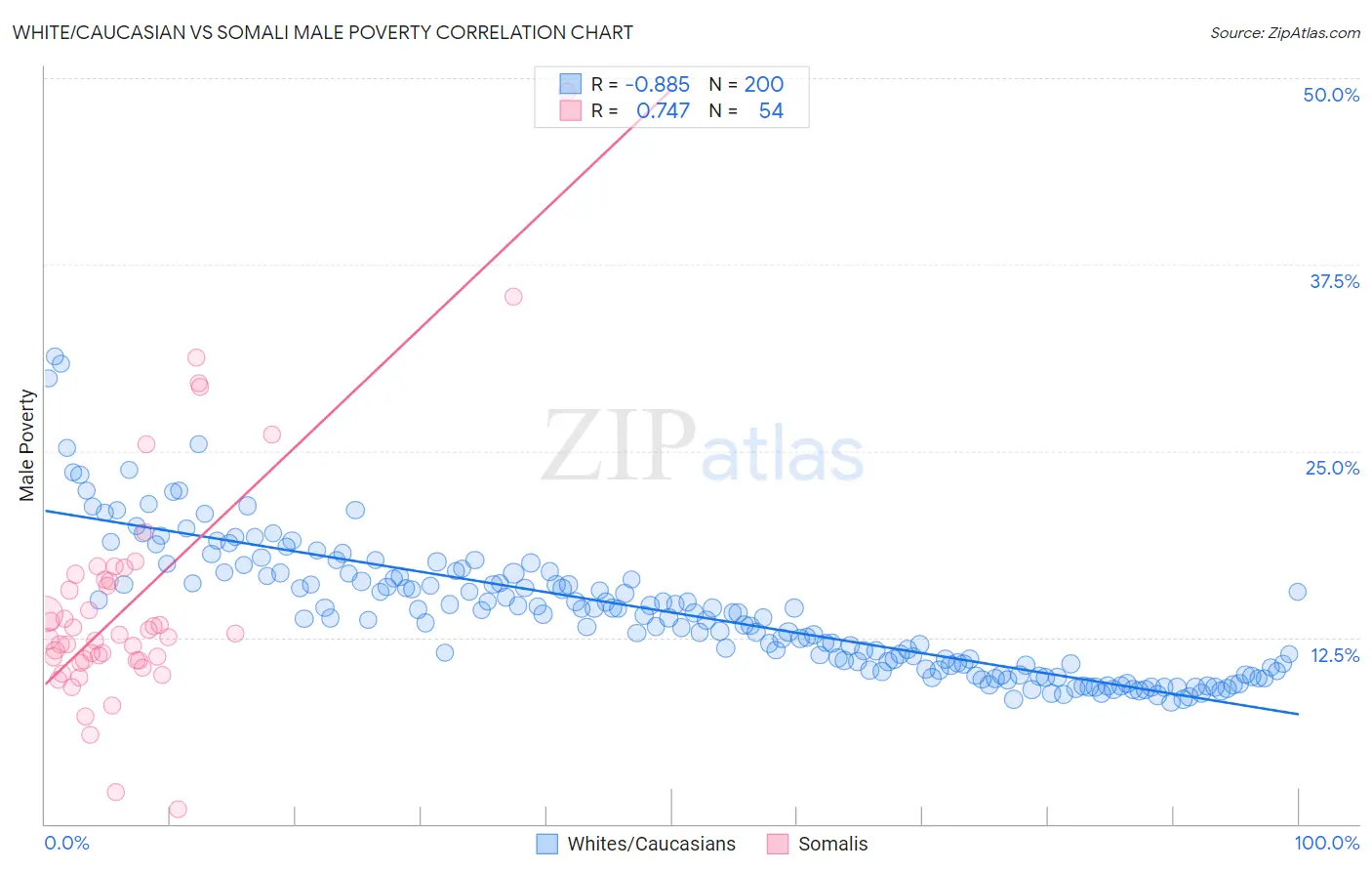 White/Caucasian vs Somali Male Poverty