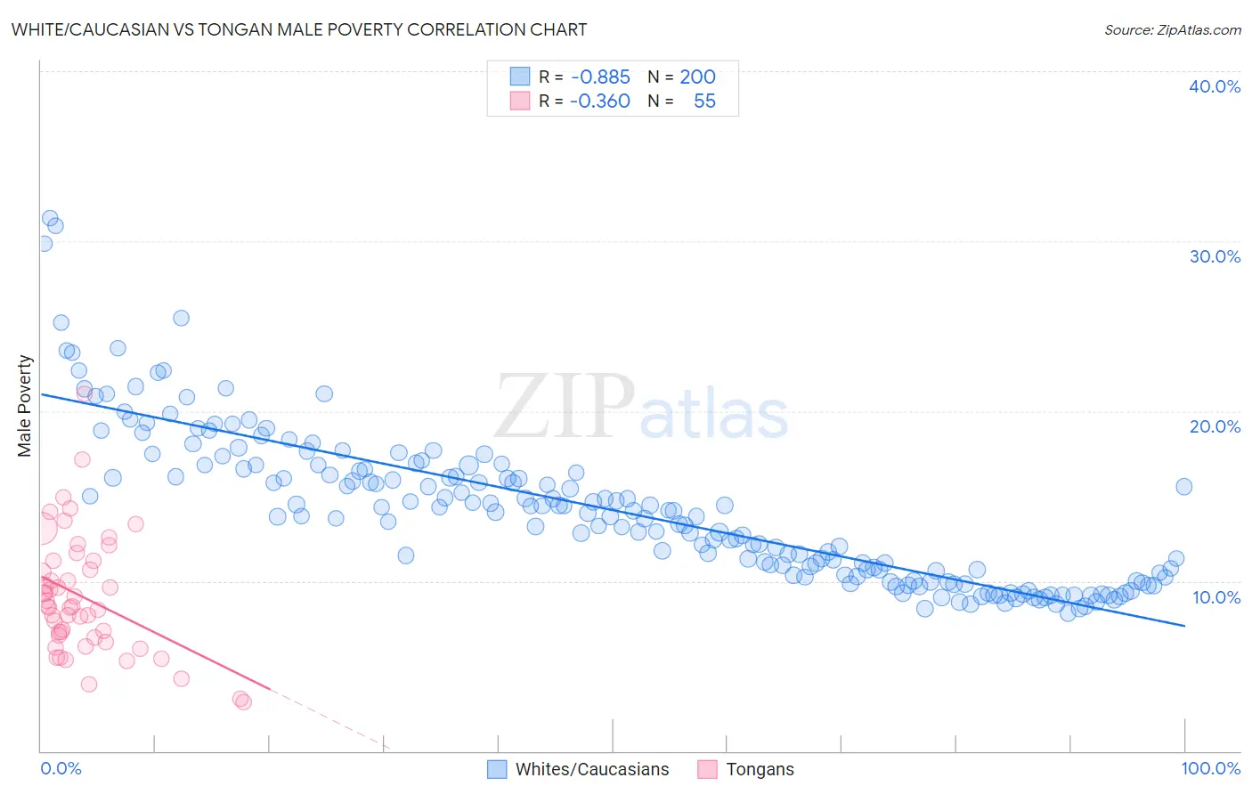 White/Caucasian vs Tongan Male Poverty