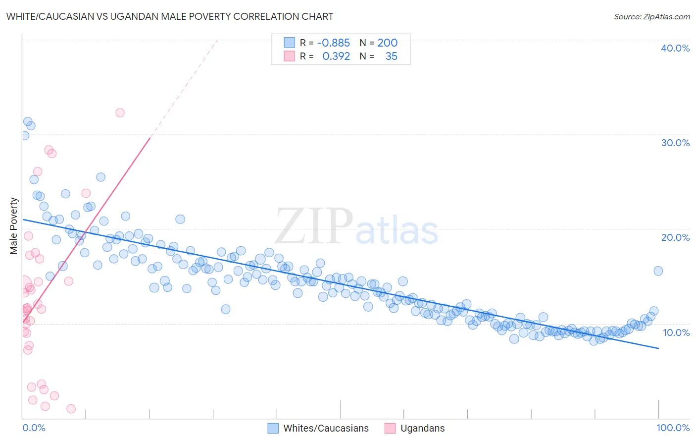 White/Caucasian vs Ugandan Male Poverty