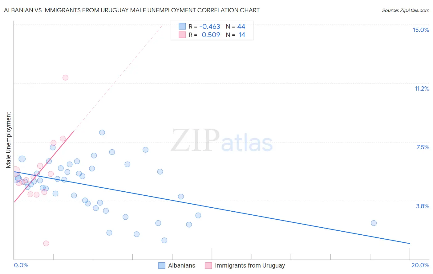 Albanian vs Immigrants from Uruguay Male Unemployment