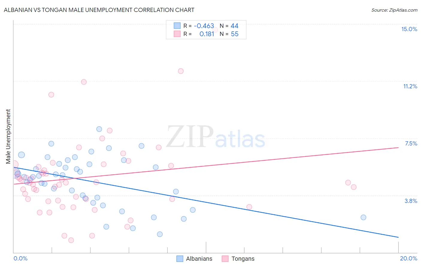 Albanian vs Tongan Male Unemployment