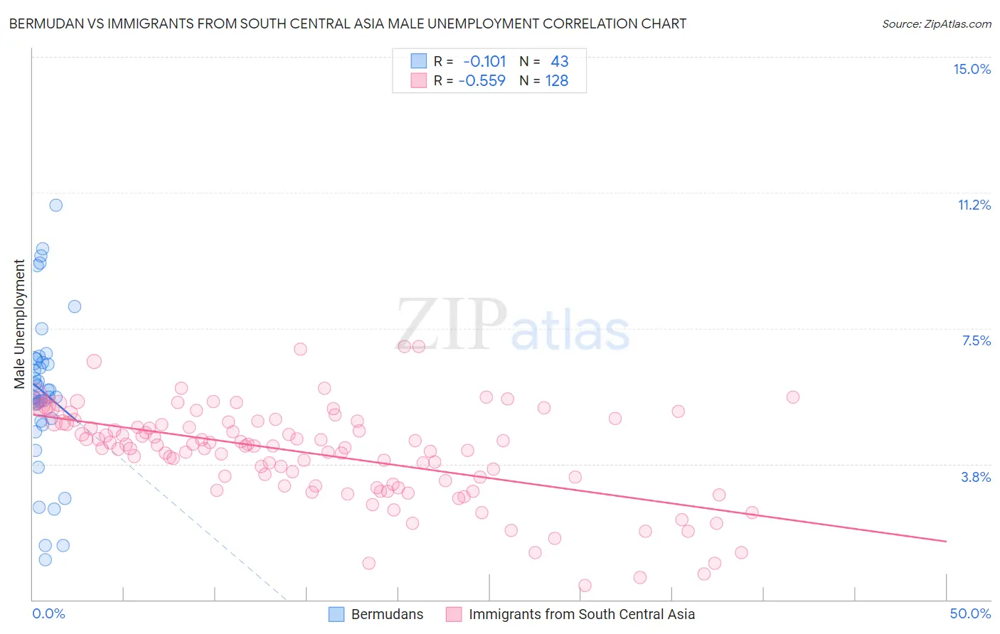 Bermudan vs Immigrants from South Central Asia Male Unemployment