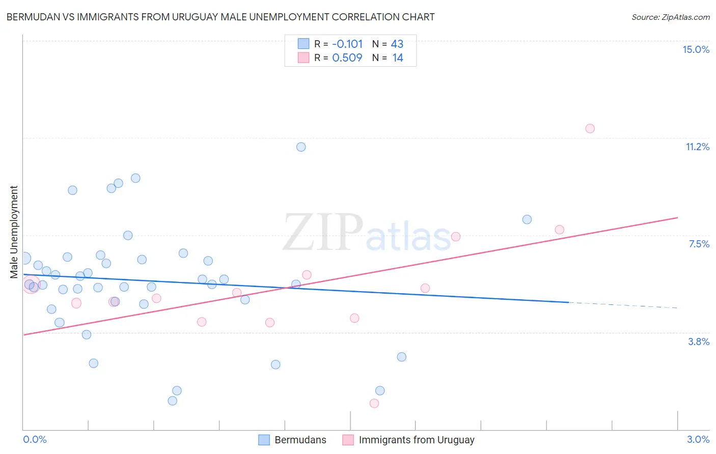 Bermudan vs Immigrants from Uruguay Male Unemployment
