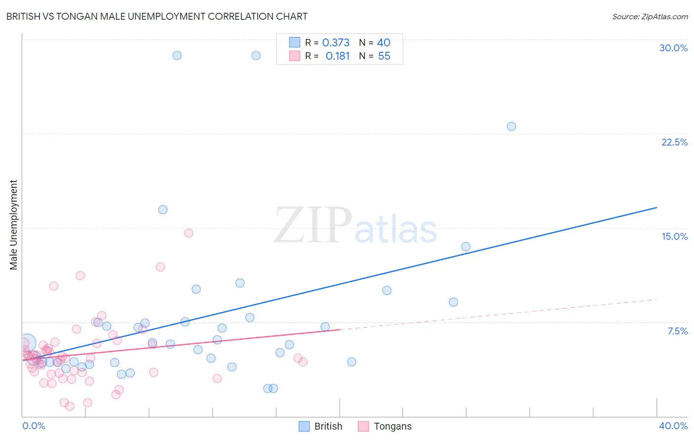 British vs Tongan Male Unemployment