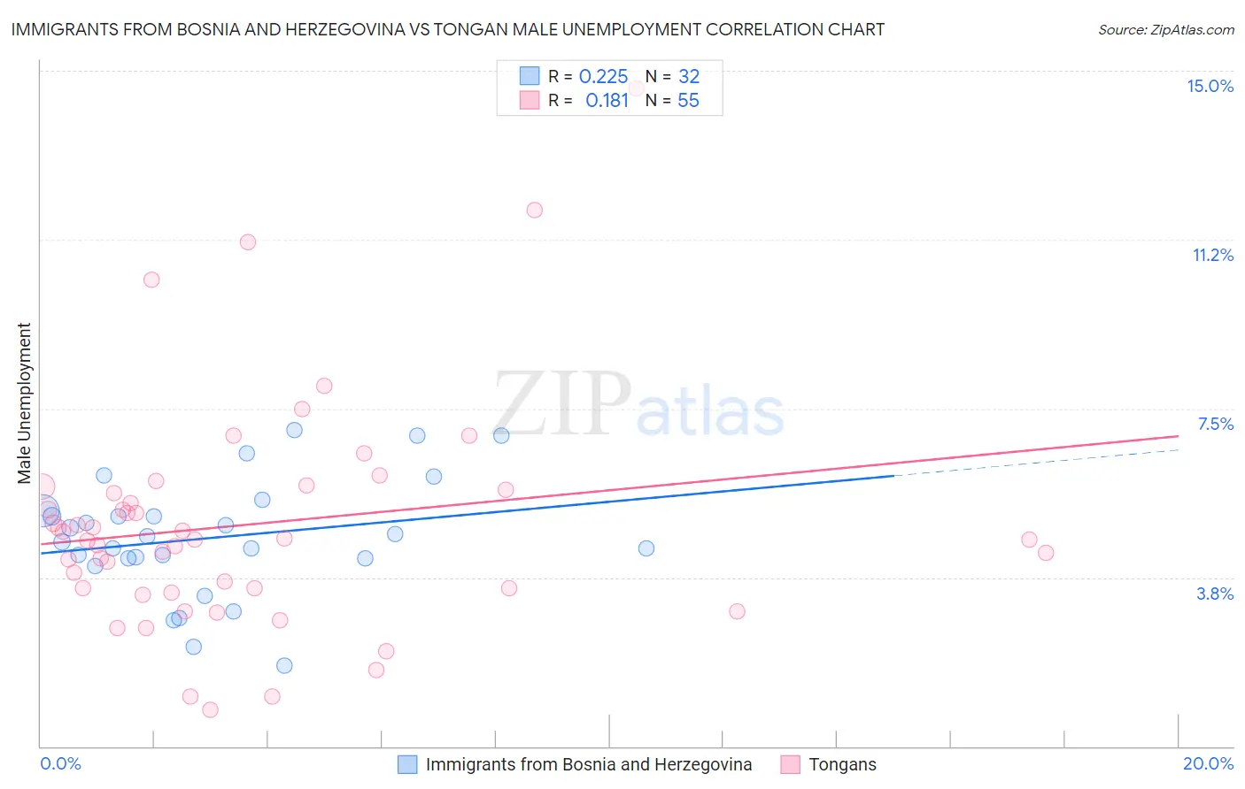 Immigrants from Bosnia and Herzegovina vs Tongan Male Unemployment