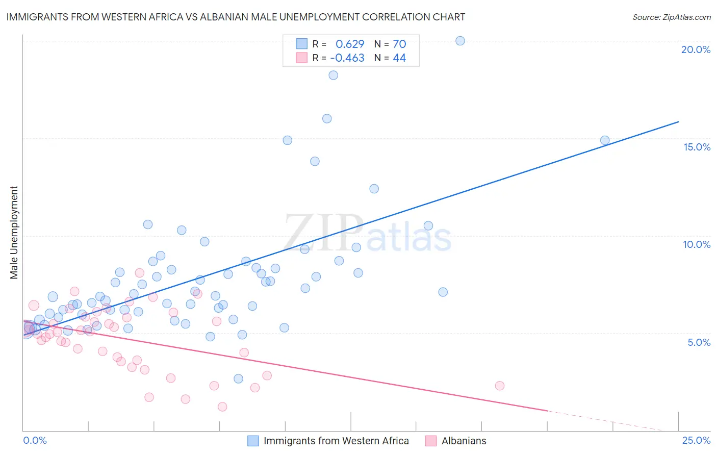 Immigrants from Western Africa vs Albanian Male Unemployment