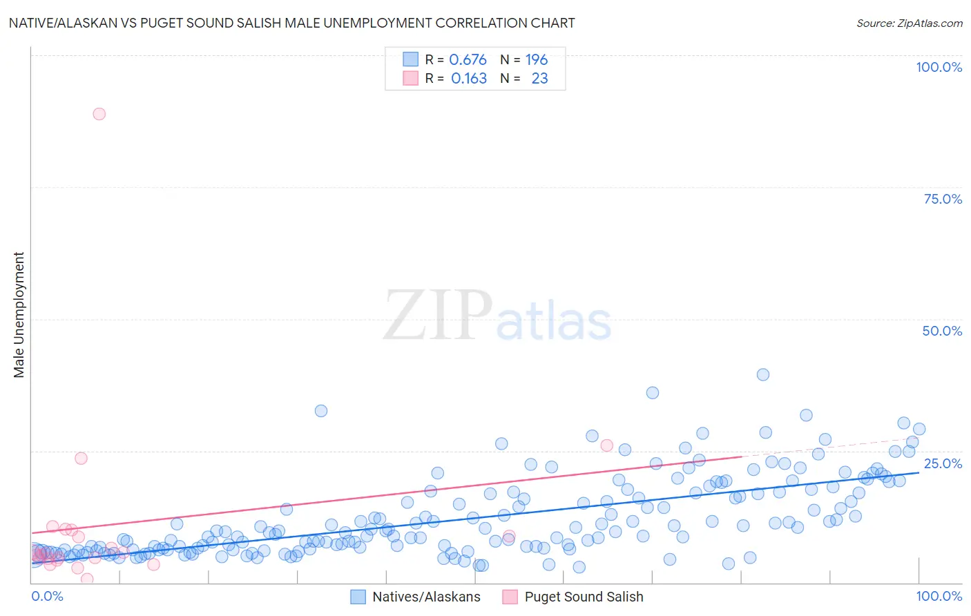 Native/Alaskan vs Puget Sound Salish Male Unemployment