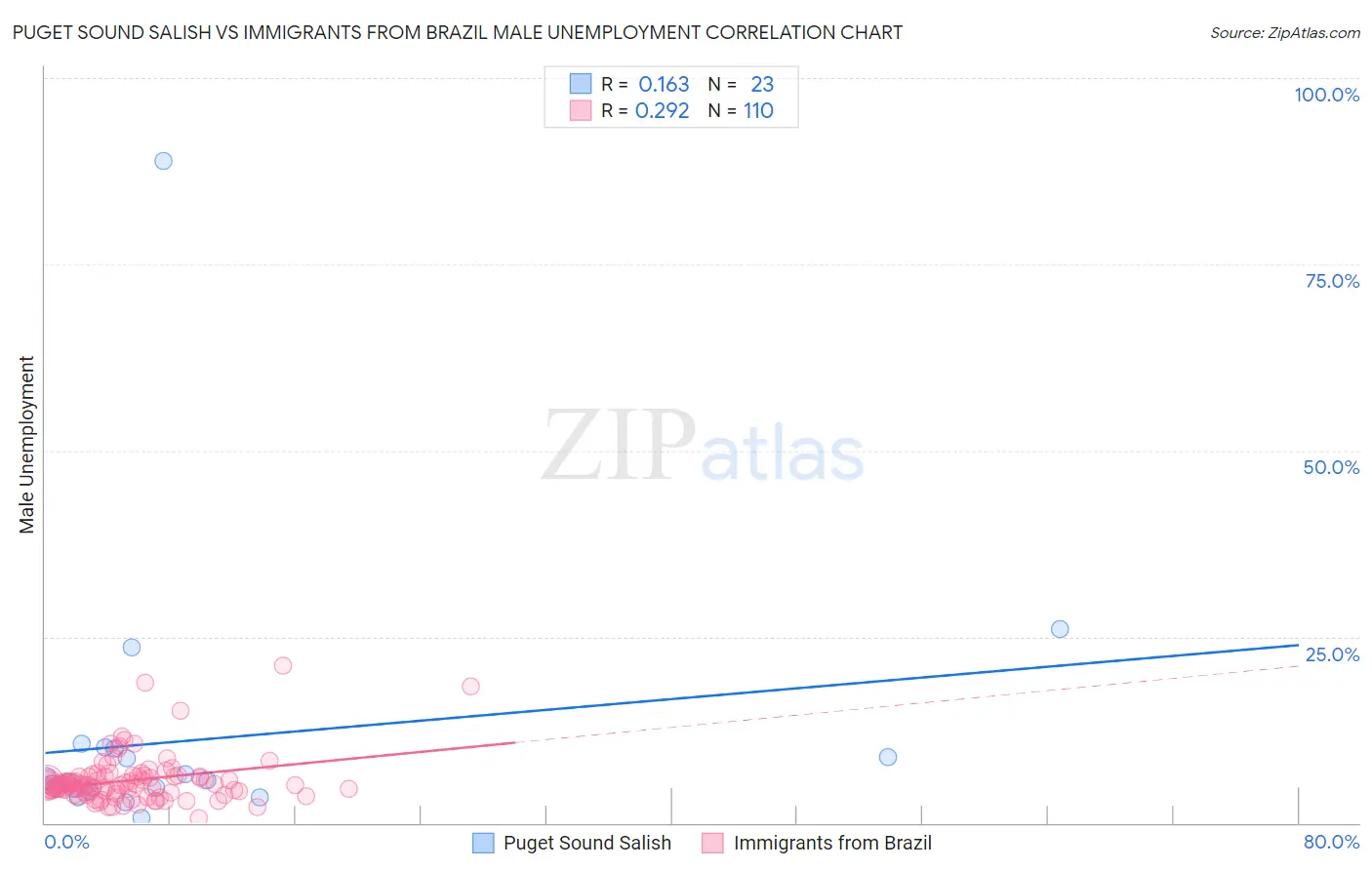Puget Sound Salish vs Immigrants from Brazil Male Unemployment