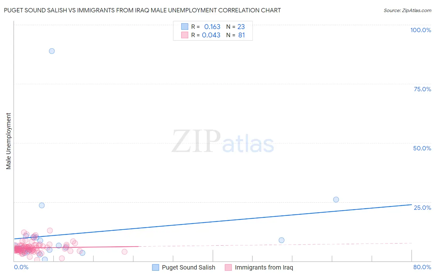 Puget Sound Salish vs Immigrants from Iraq Male Unemployment