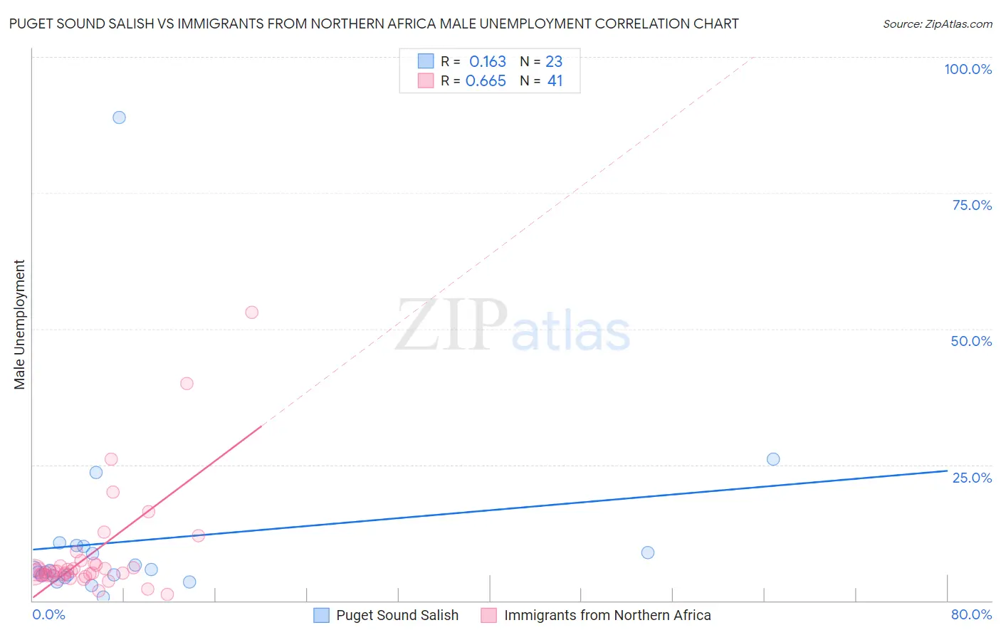 Puget Sound Salish vs Immigrants from Northern Africa Male Unemployment