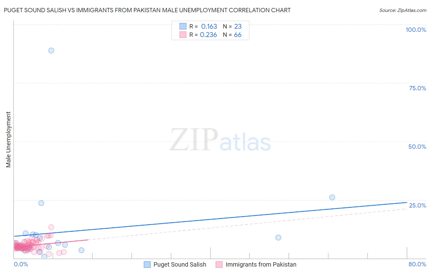 Puget Sound Salish vs Immigrants from Pakistan Male Unemployment