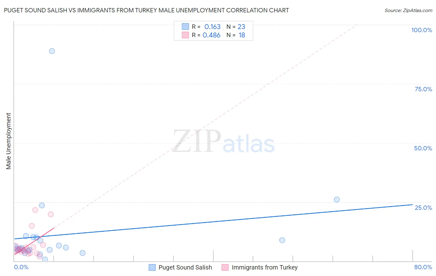 Puget Sound Salish vs Immigrants from Turkey Male Unemployment