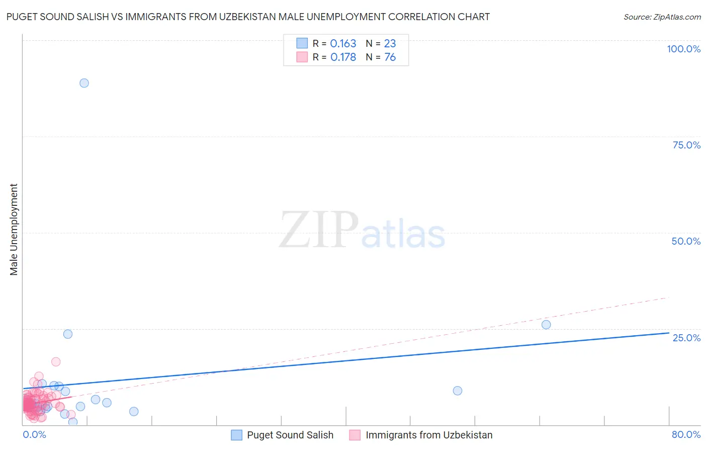 Puget Sound Salish vs Immigrants from Uzbekistan Male Unemployment