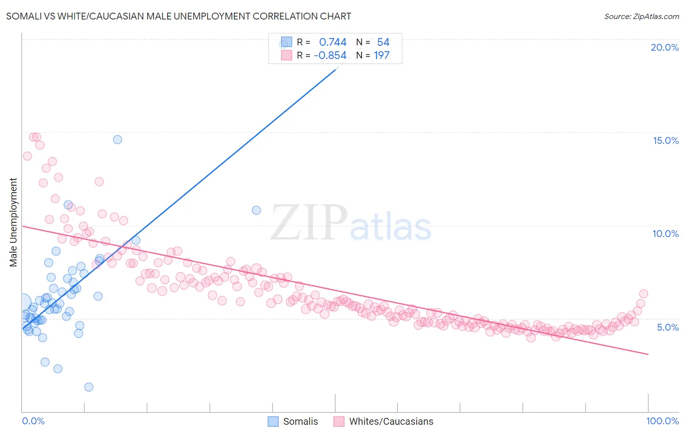 Somali vs White/Caucasian Male Unemployment