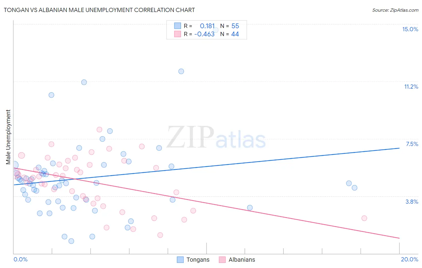 Tongan vs Albanian Male Unemployment