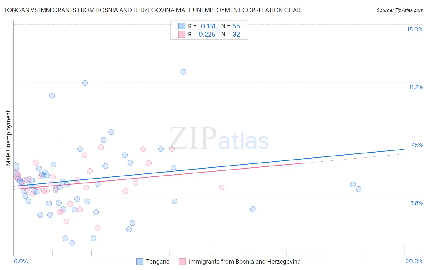 Tongan vs Immigrants from Bosnia and Herzegovina Male Unemployment