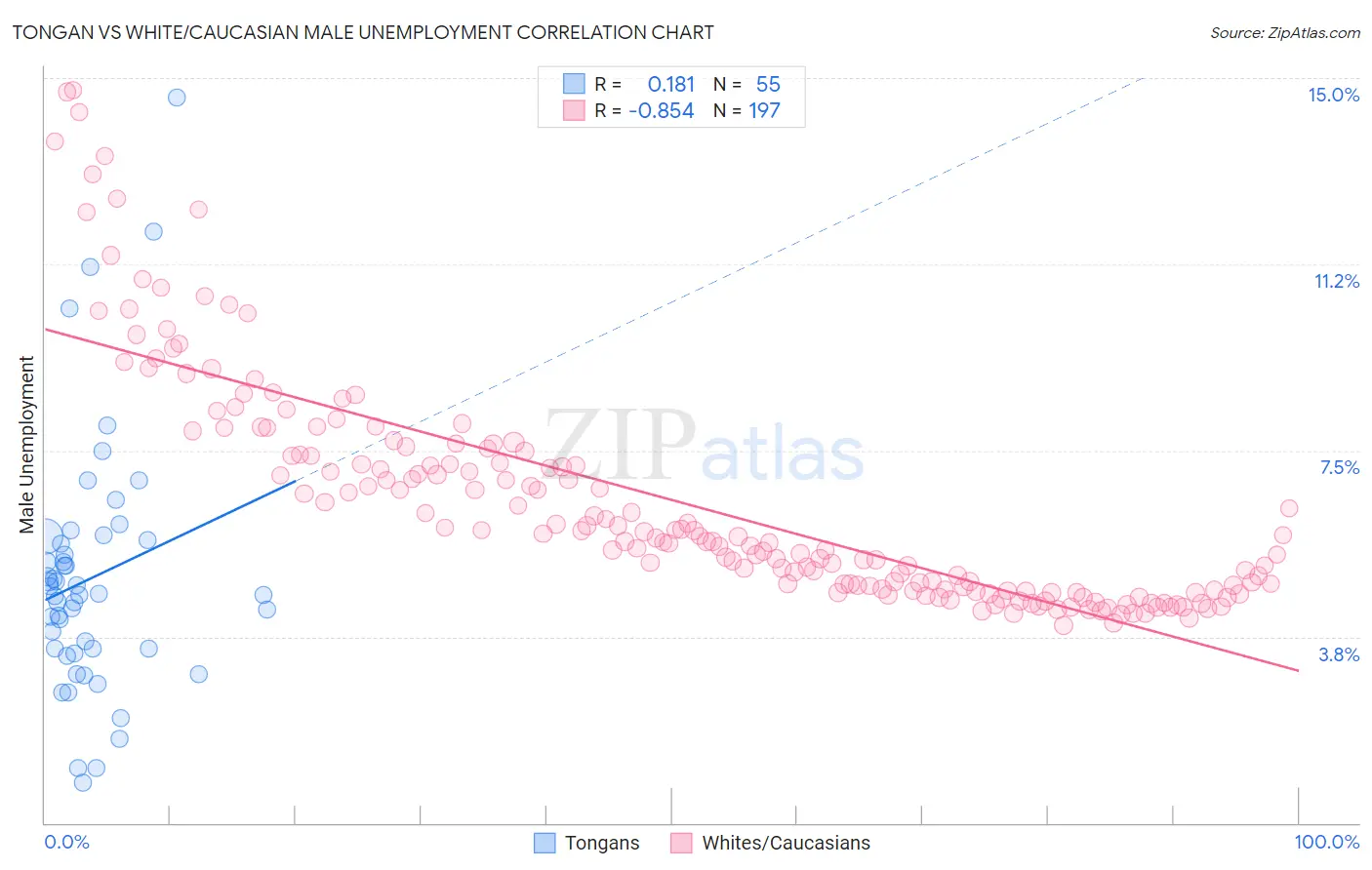 Tongan vs White/Caucasian Male Unemployment