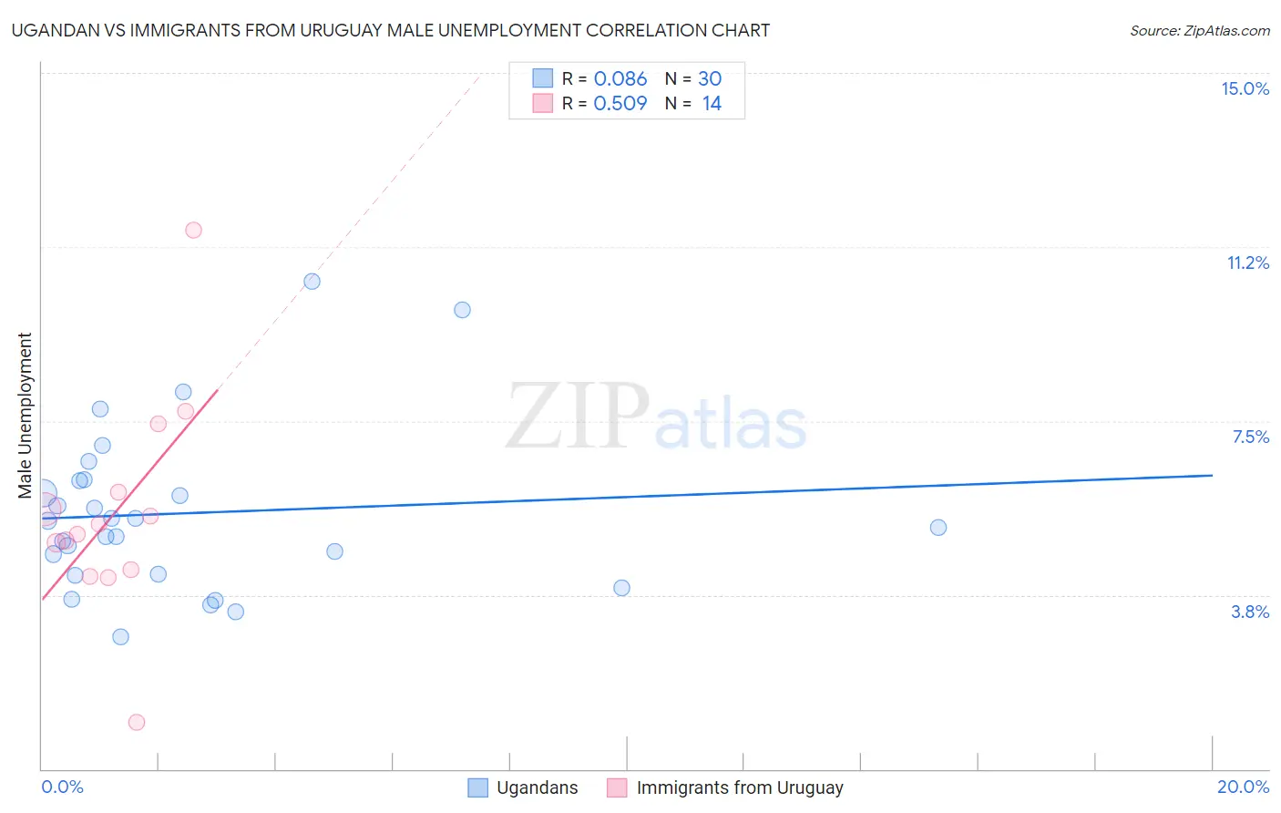 Ugandan vs Immigrants from Uruguay Male Unemployment