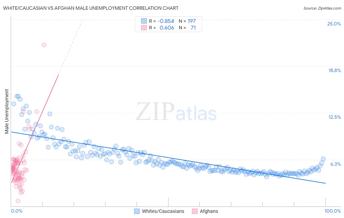 White/Caucasian vs Afghan Male Unemployment