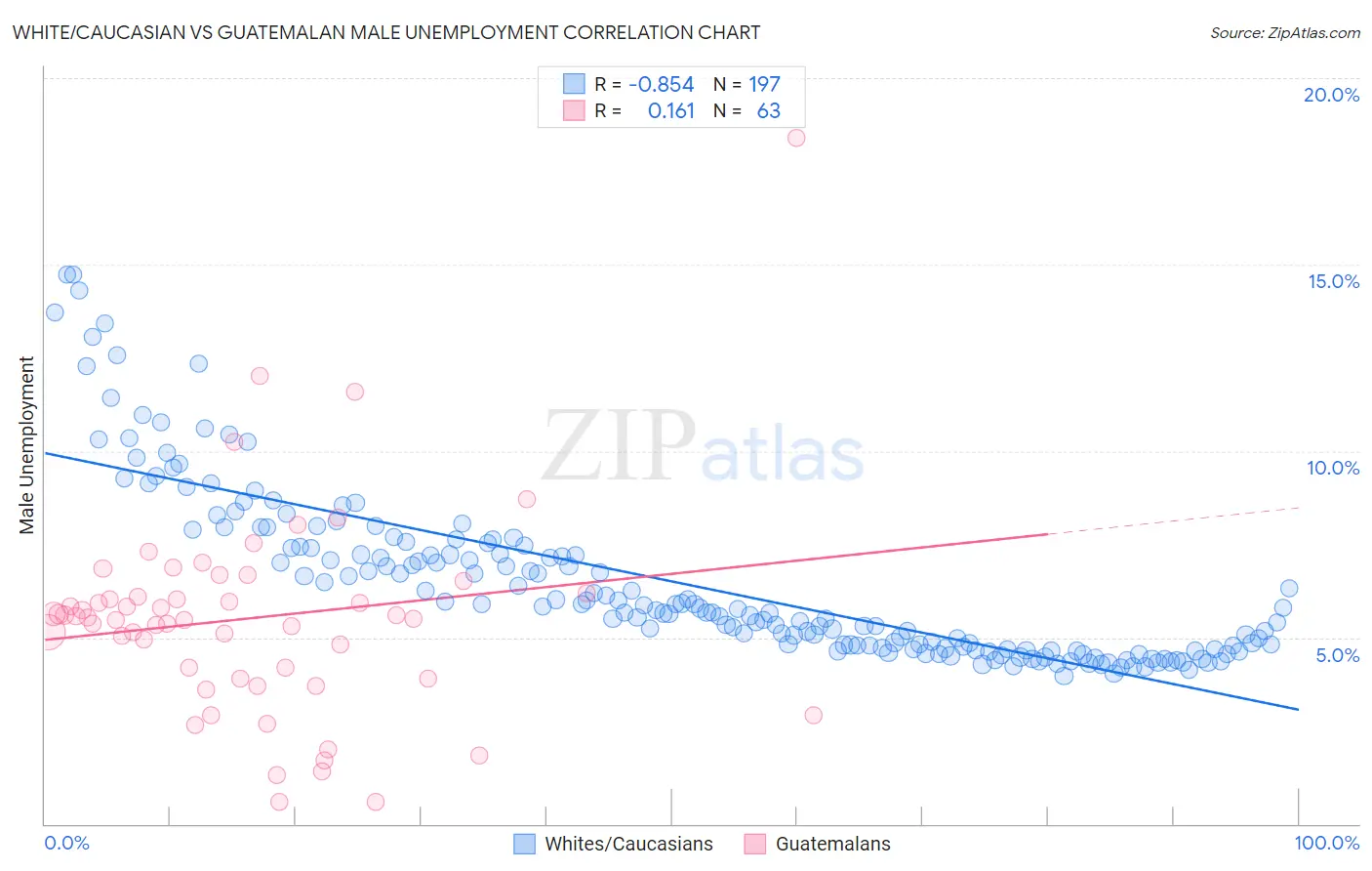 White/Caucasian vs Guatemalan Male Unemployment