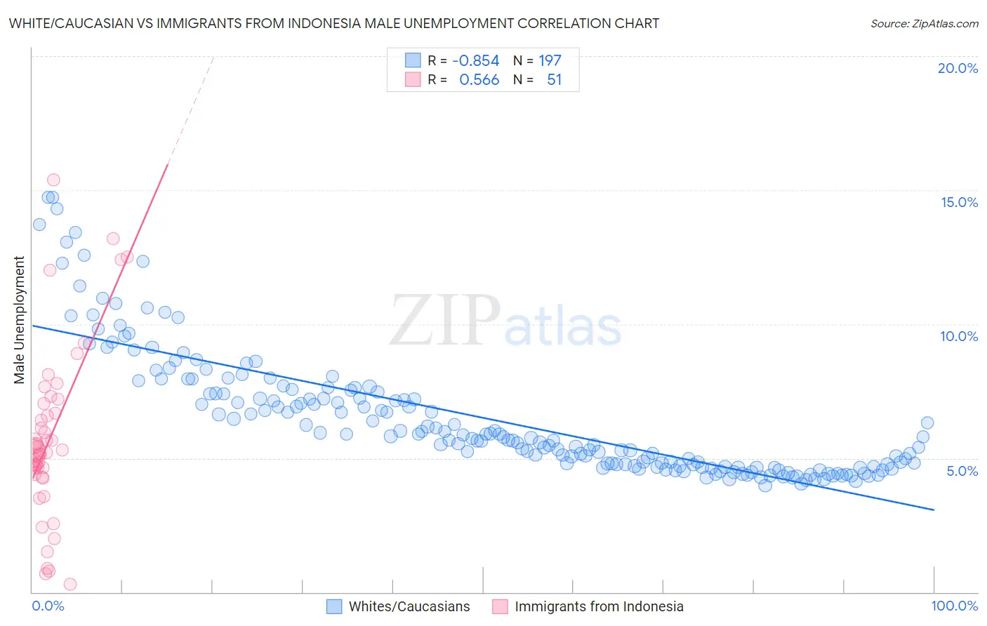 White/Caucasian vs Immigrants from Indonesia Male Unemployment