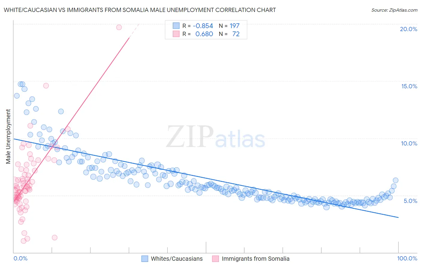 White/Caucasian vs Immigrants from Somalia Male Unemployment