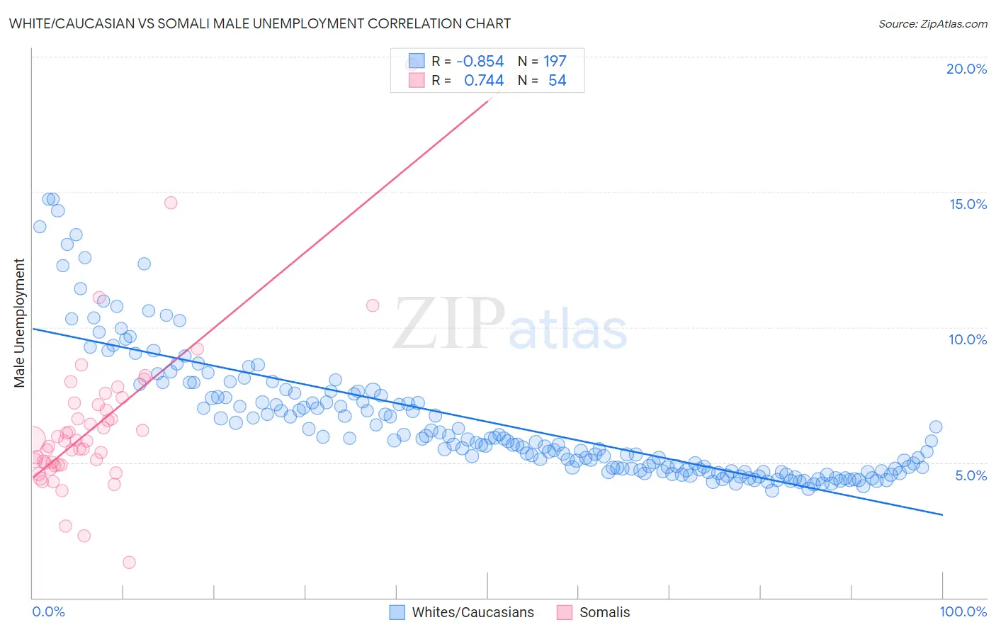White/Caucasian vs Somali Male Unemployment