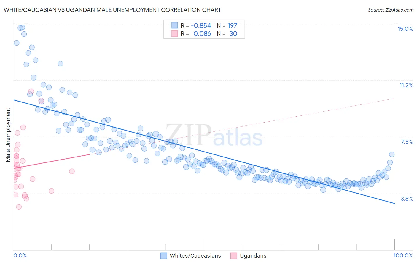 White/Caucasian vs Ugandan Male Unemployment