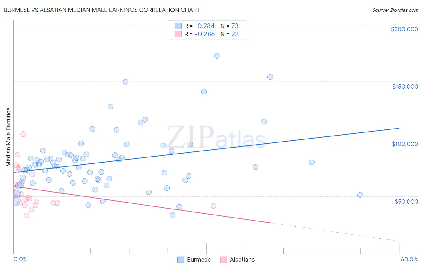 Burmese vs Alsatian Median Male Earnings
