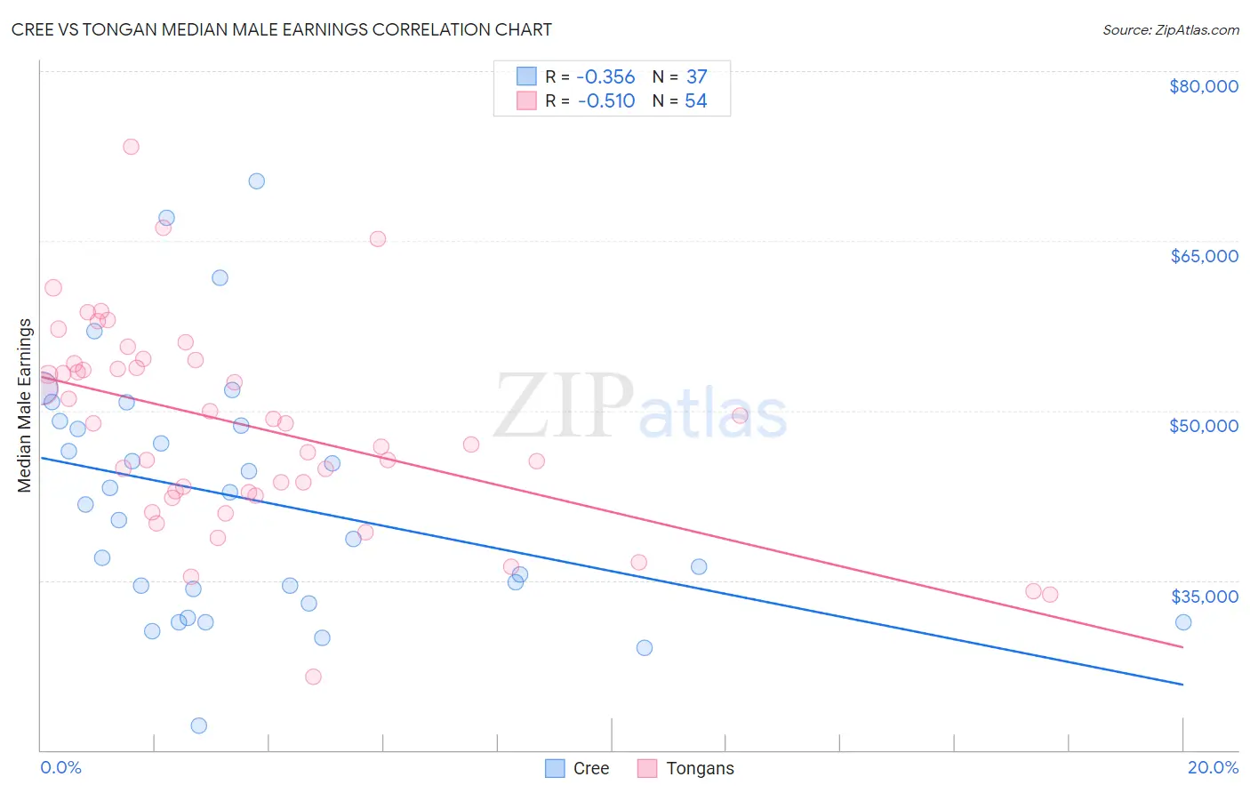 Cree vs Tongan Median Male Earnings