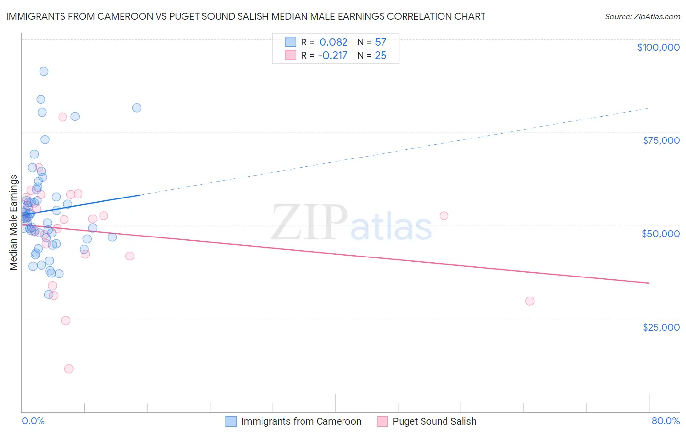 Immigrants from Cameroon vs Puget Sound Salish Median Male Earnings