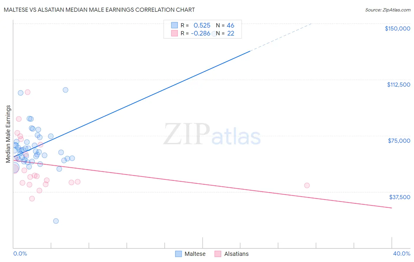 Maltese vs Alsatian Median Male Earnings