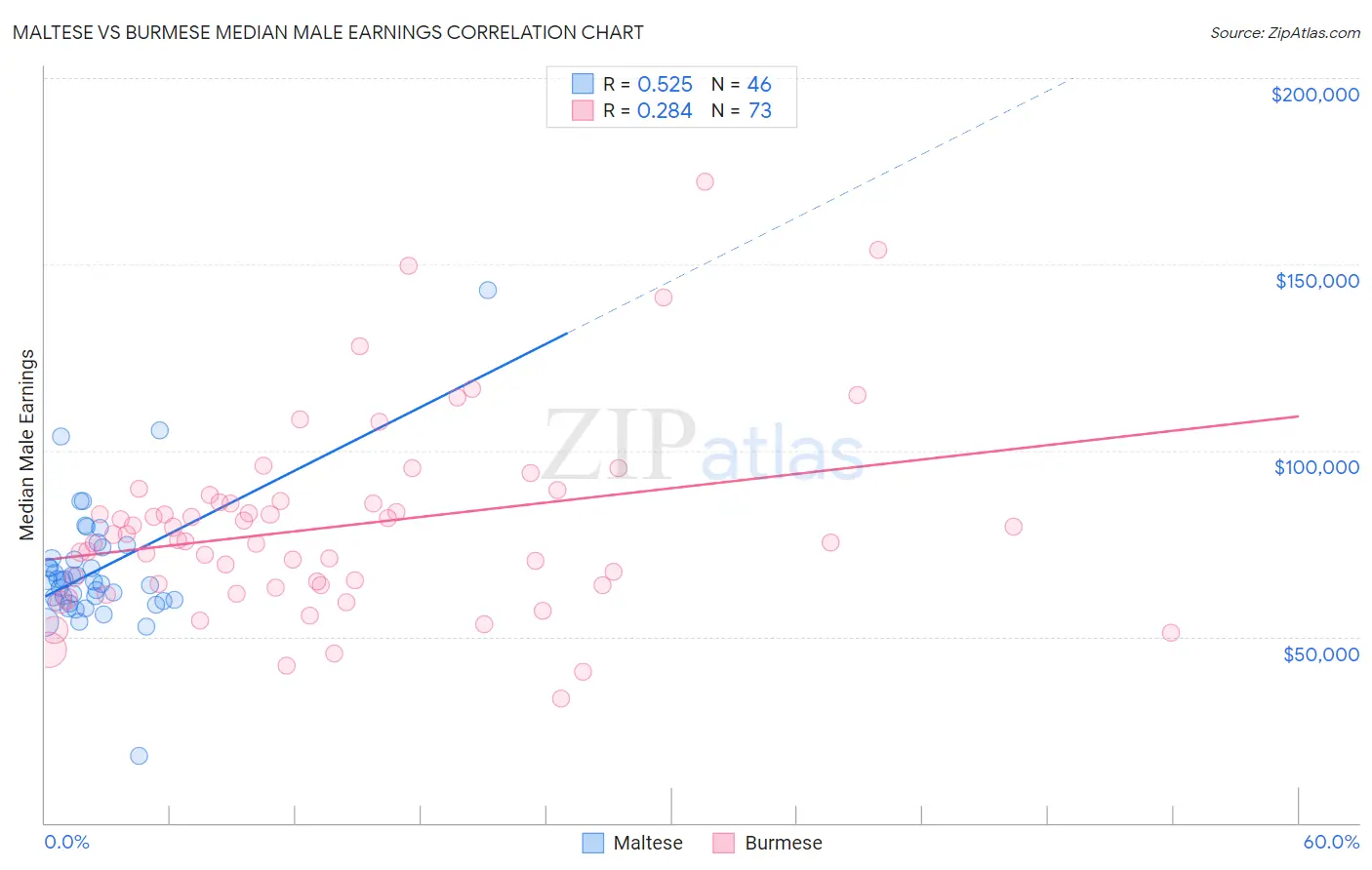 Maltese vs Burmese Median Male Earnings