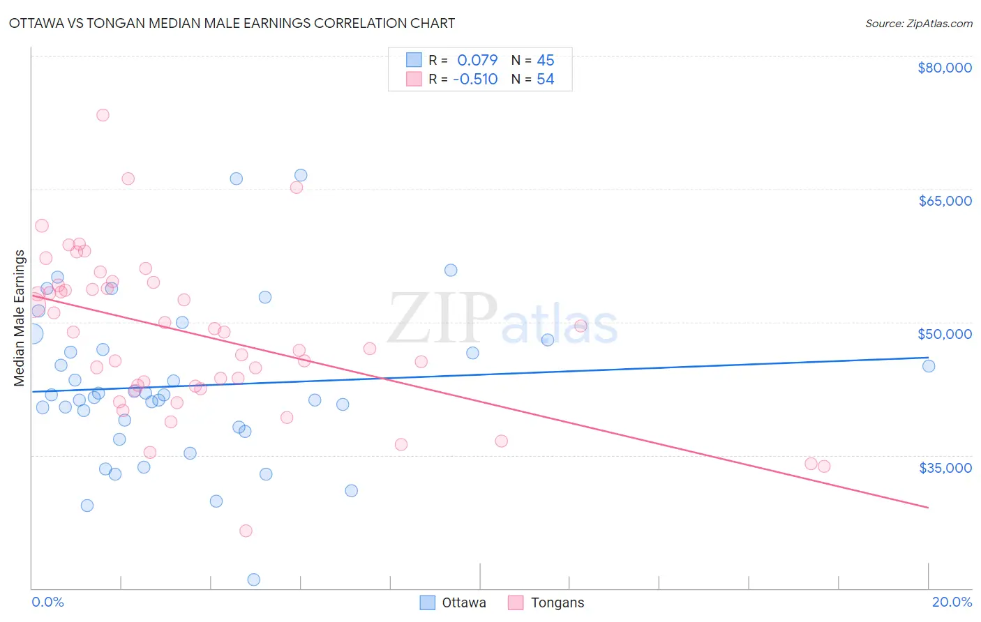 Ottawa vs Tongan Median Male Earnings