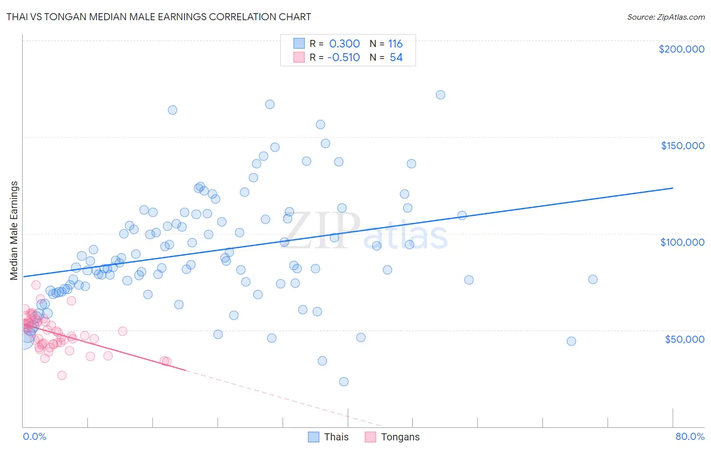 Thai vs Tongan Median Male Earnings